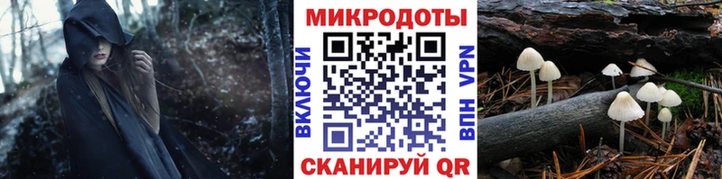 Псилоцибиновые грибы прущие грибы где найти наркотики это как зайти Острогожск MEGA маркетплейс